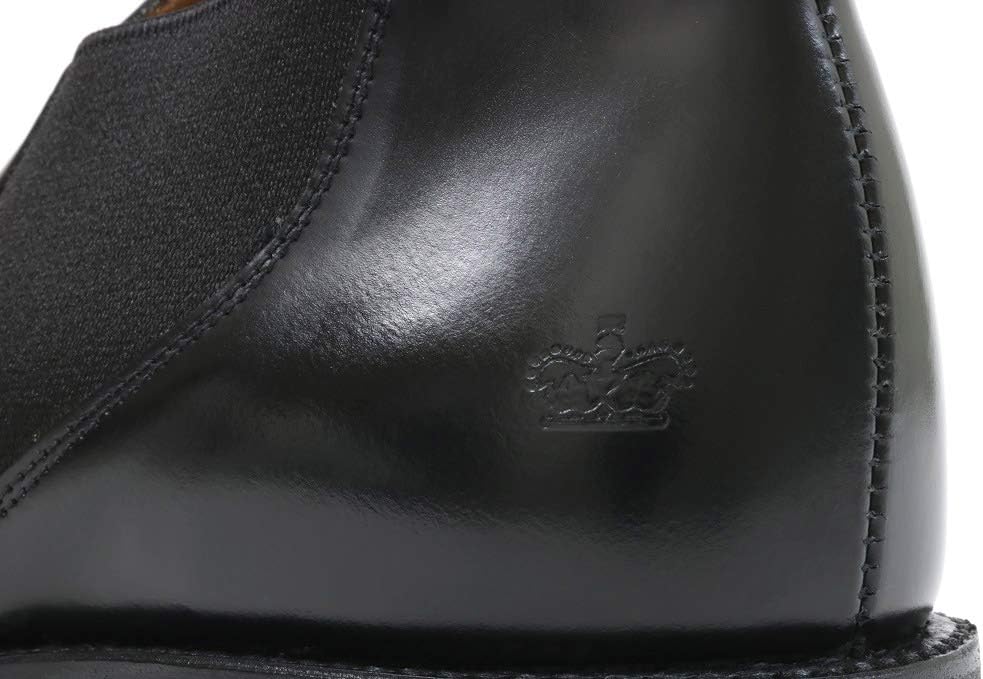 大棗 藤袴 溜】長谷川祐斉 共箱